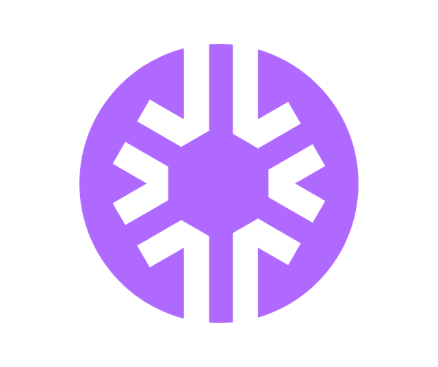 SolQuery Logo